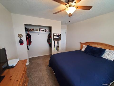 11401 Greenview St, Bennett, CO 80102 photo 14