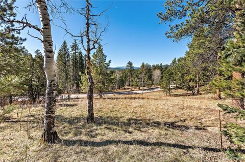 34667 Circle Dr, Pine, CO 80470 photo 11