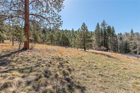 34667 Circle Dr, Pine, CO 80470 photo 12