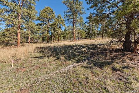 34667 Circle Dr, Pine, CO 80470 photo 13