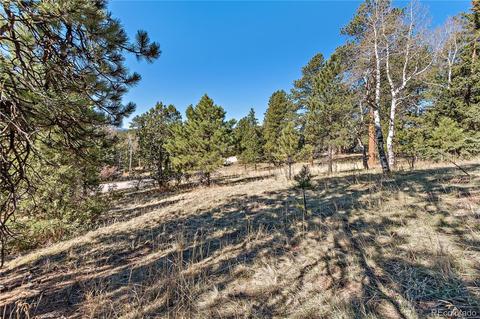 34667 Circle Dr, Pine, CO 80470 photo 10