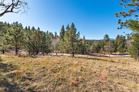 34667 Circle Dr, Pine, CO 80470 photo 9