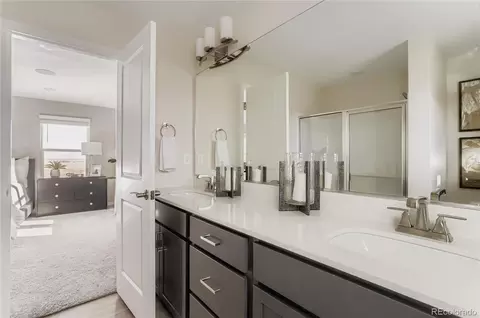 Bath - 13322 Lady Bug Ln, Longmont, CO 80504 photo 2 of 4