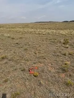 1186 Mesa Rd, Hartsel, CO 80449 photo 6