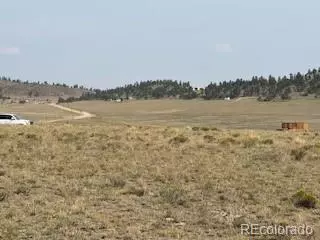 1186 Mesa Rd, Hartsel, CO 80449 photo 3