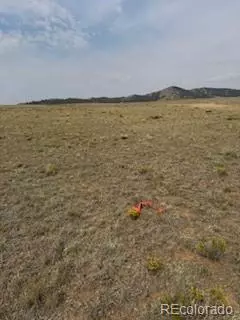 1186 Mesa Rd, Hartsel, CO 80449 photo 5