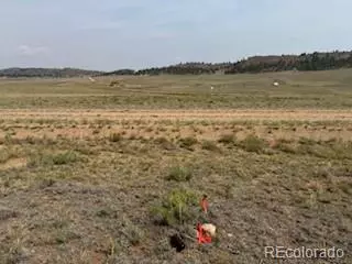 1186 Mesa Rd, Hartsel, CO 80449 photo 9