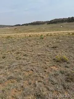 1186 Mesa Rd, Hartsel, CO 80449 photo 8
