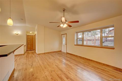 33753 Smith Rd, Pine, CO 80470 photo 5