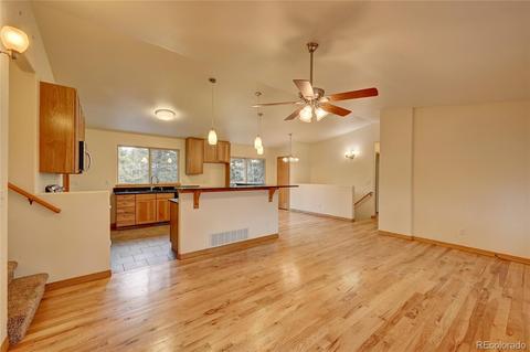 33753 Smith Rd, Pine, CO 80470 photo 8