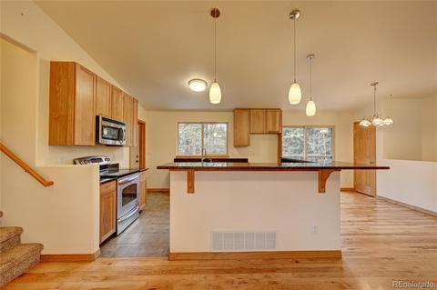 33753 Smith Rd, Pine, CO 80470 photo 7