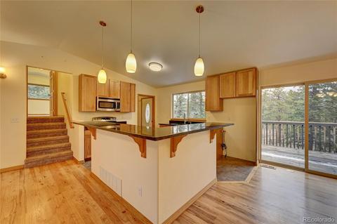 33753 Smith Rd, Pine, CO 80470 photo 6