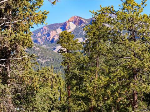 33753 Smith Rd, Pine, CO 80470 photo 37