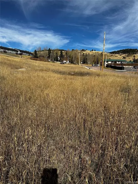 24 Prospect Street, Cripple Creek, CO 80813