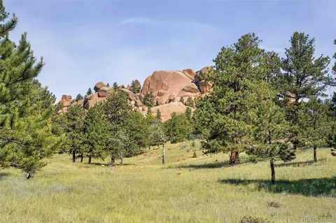 27 Fetlock Cir, Florissant, CO 80816