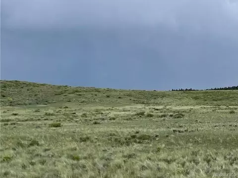 000 Navajo Trl, Hartsel, CO 80449