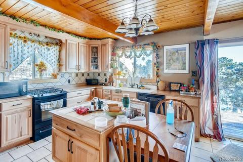 952 Burland Dr, Bailey, CO 80421 photo 9