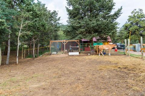 952 Burland Dr, Bailey, CO 80421 photo 24