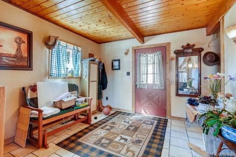 952 Burland Dr, Bailey, CO 80421 photo 3