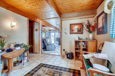 952 Burland Dr, Bailey, CO 80421 photo 2