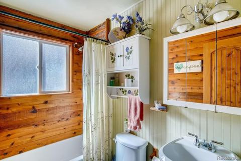 952 Burland Dr, Bailey, CO 80421 photo 13