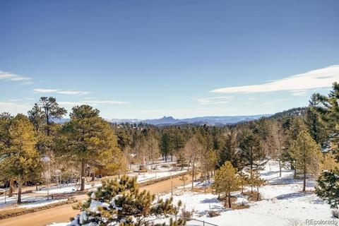952 Burland Dr, Bailey, CO 80421 photo 19