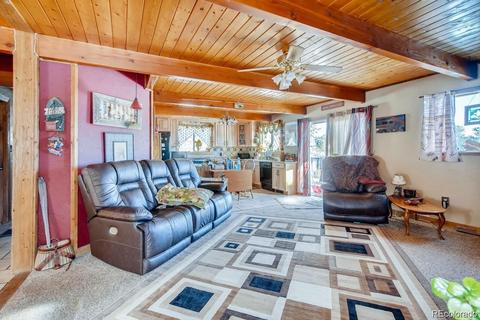952 Burland Dr, Bailey, CO 80421 photo 5