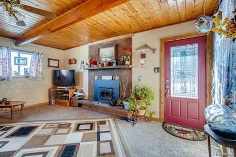 952 Burland Dr, Bailey, CO 80421 photo 4