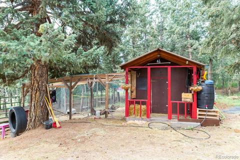 952 Burland Dr, Bailey, CO 80421 photo 22