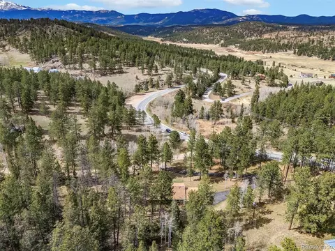 View/Area - 14 Aspen Dr, Bailey, CO 80421 photo 3 of 6