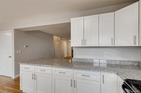 21563 E 44th Ave, Denver, CO 80249 photo 10