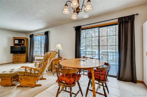 402 Sleepy Hollow Dr, Bailey, CO 80421 photo 11