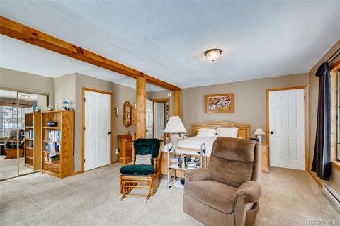 402 Sleepy Hollow Dr, Bailey, CO 80421 photo 16