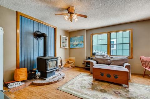 402 Sleepy Hollow Dr, Bailey, CO 80421 photo 20