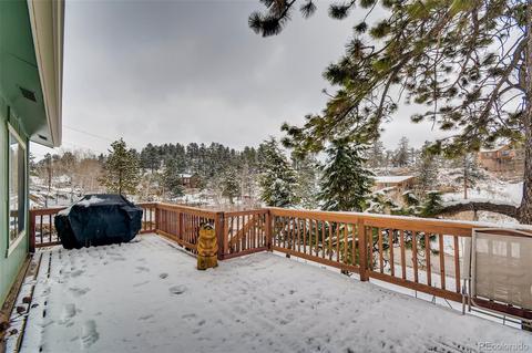 402 Sleepy Hollow Dr, Bailey, CO 80421 photo 26