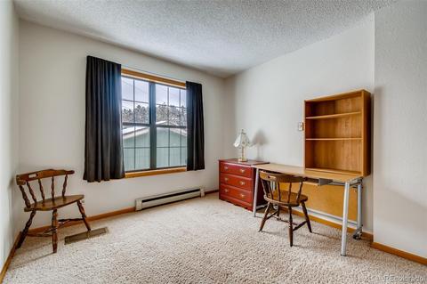 402 Sleepy Hollow Dr, Bailey, CO 80421 photo 13