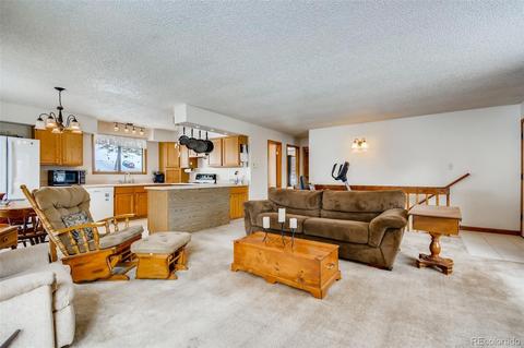 402 Sleepy Hollow Dr, Bailey, CO 80421 photo 5