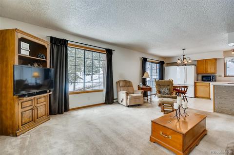 402 Sleepy Hollow Dr, Bailey, CO 80421 photo 6