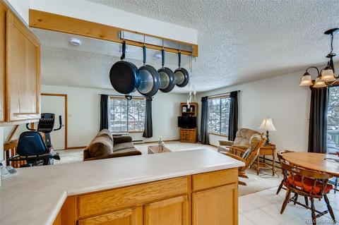 402 Sleepy Hollow Dr, Bailey, CO 80421 photo 10