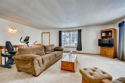 402 Sleepy Hollow Dr, Bailey, CO 80421 photo 4