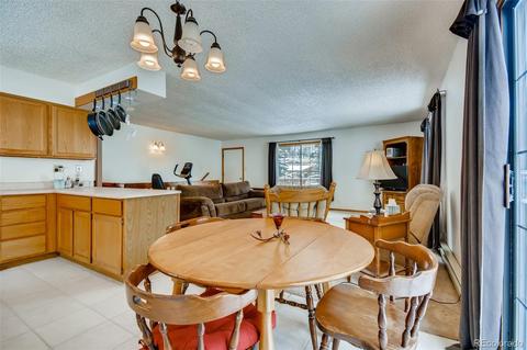 402 Sleepy Hollow Dr, Bailey, CO 80421 photo 12