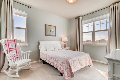 10867 E 162nd Pl, Brighton, CO 80602 photo 18