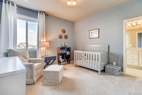 10867 E 162nd Pl, Brighton, CO 80602 photo 19