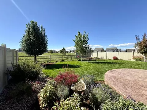 Exterior - 6724 Fraser Cir, Frederick, CO 80530 photo 8 of 8