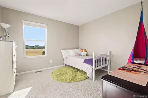 Bedroom - 6724 Fraser Cir, Frederick, CO 80530 photo 7 of 7