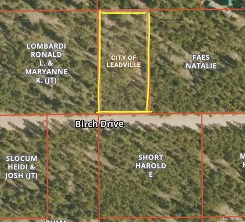 569 Birch Dr, Leadville, CO 80461 photo 4