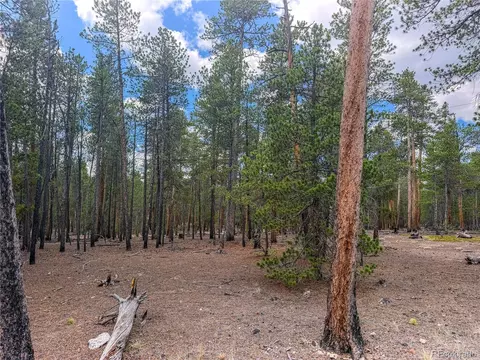 569 Birch Dr, Leadville, CO 80461 photo 3