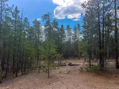 569 Birch Dr, Leadville, CO 80461