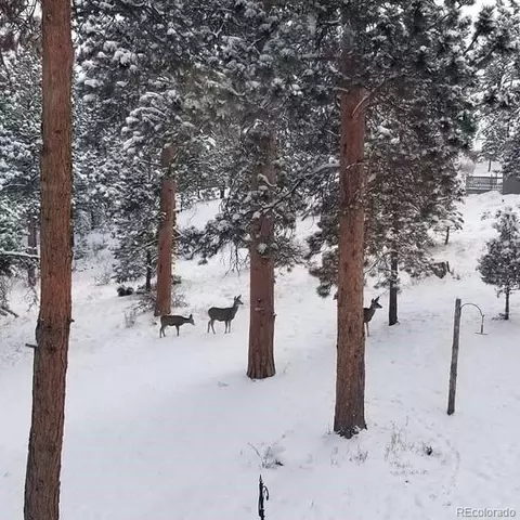 Other - 13892 Douglas Ranch Dr, Pine, CO 80470 photo 9 of 20