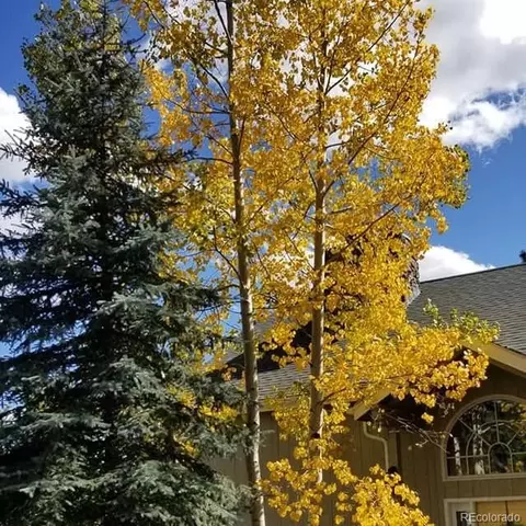 Other - 13892 Douglas Ranch Dr, Pine, CO 80470 photo 16 of 20